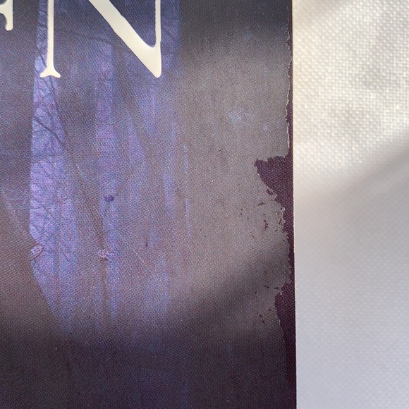 “Fallen,” and “Torment,” by Lauren Kate - Picture 7 of 8